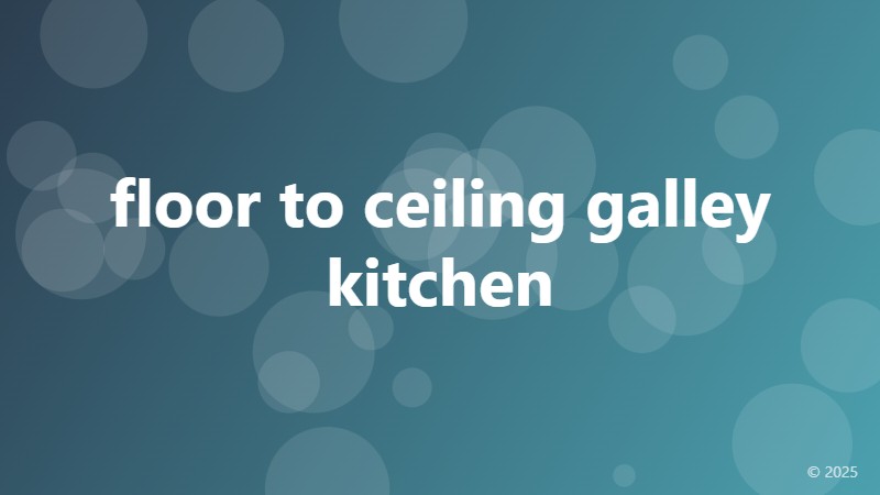 floor to ceiling galley kitchen