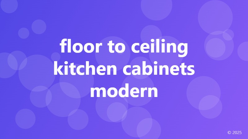 floor to ceiling kitchen cabinets modern