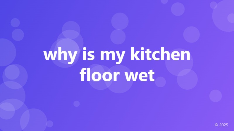why is my kitchen floor wet